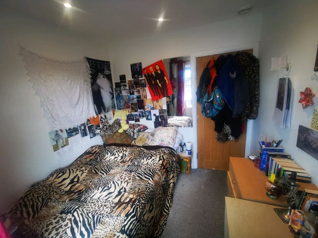 Double room in massive Veggie house Main Photo