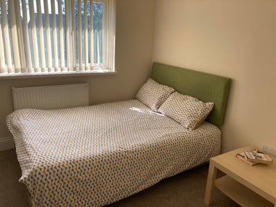 Spacious Double Room in a Friendly House Share Main Photo