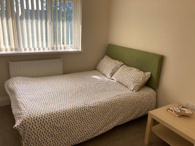 Spacious Double Room in a Friendly House Share Main Photo