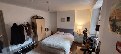 Room in East London with bonus cat Main Photo