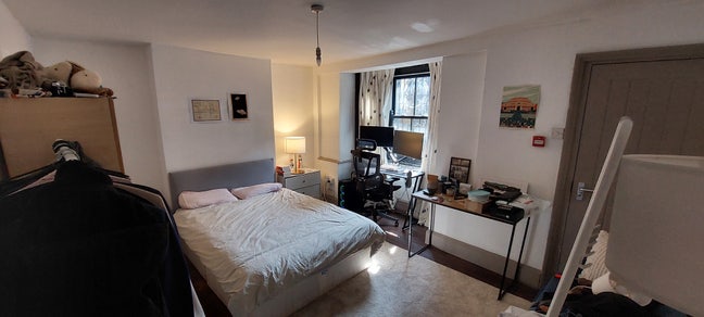 Room in East London with bonus cat Main Photo