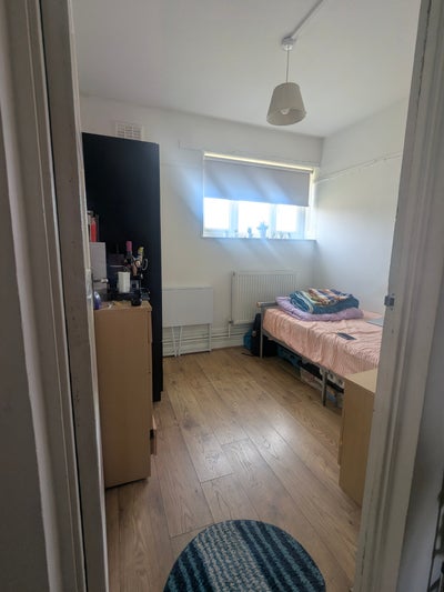 Looking for a friendly female flatmate  Main Photo