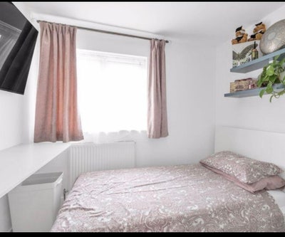 Room rent students only  Main Photo