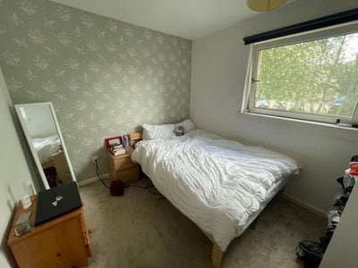 Flatmate Urgently needed‼️  Main Photo