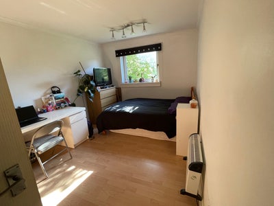 Double Room in Central Glasgow  Main Photo