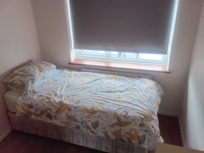 Southgate single room Main Photo