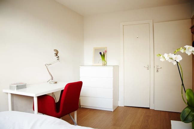 Lovely room at North Kensington/Portobello W10 Main Photo