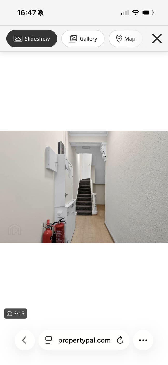 Looking for a friendly housemate! Main Photo