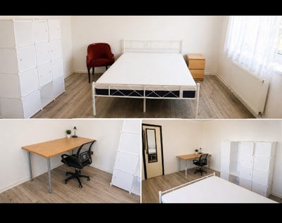 Room for rent Main Photo