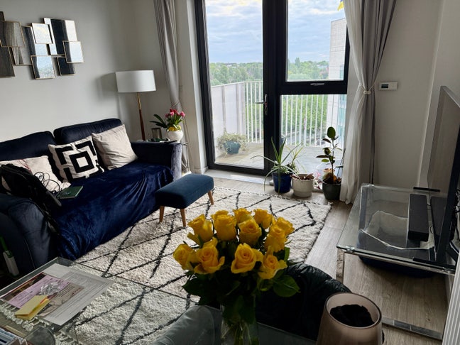 Bright Living Room for Rent in Modern Flat Main Photo