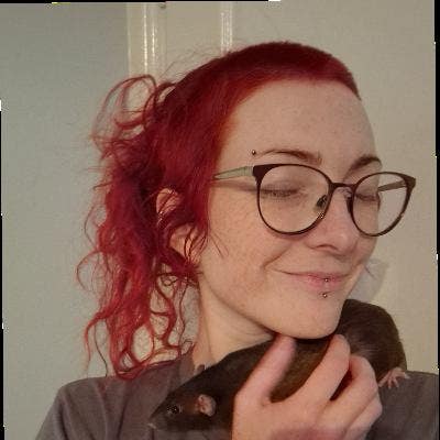 ISO rat-friendly double room/buddy up :) Main Photo