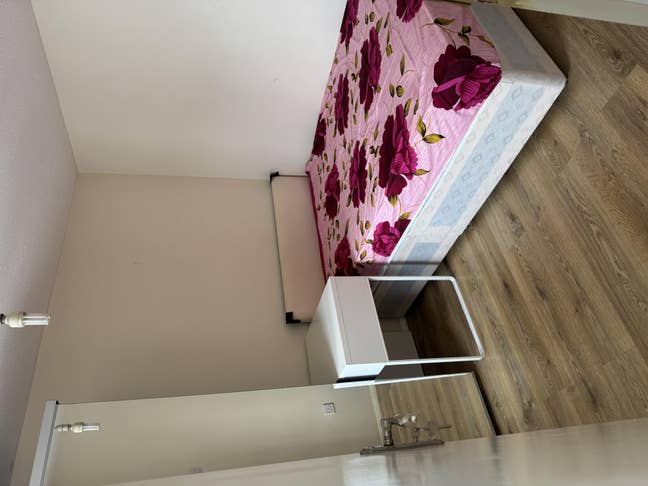 Room for rent in Euston  Main Photo