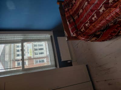 Room for rent Main Photo