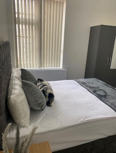 Bright Double Room for Female – M12 – Longsight Main Photo