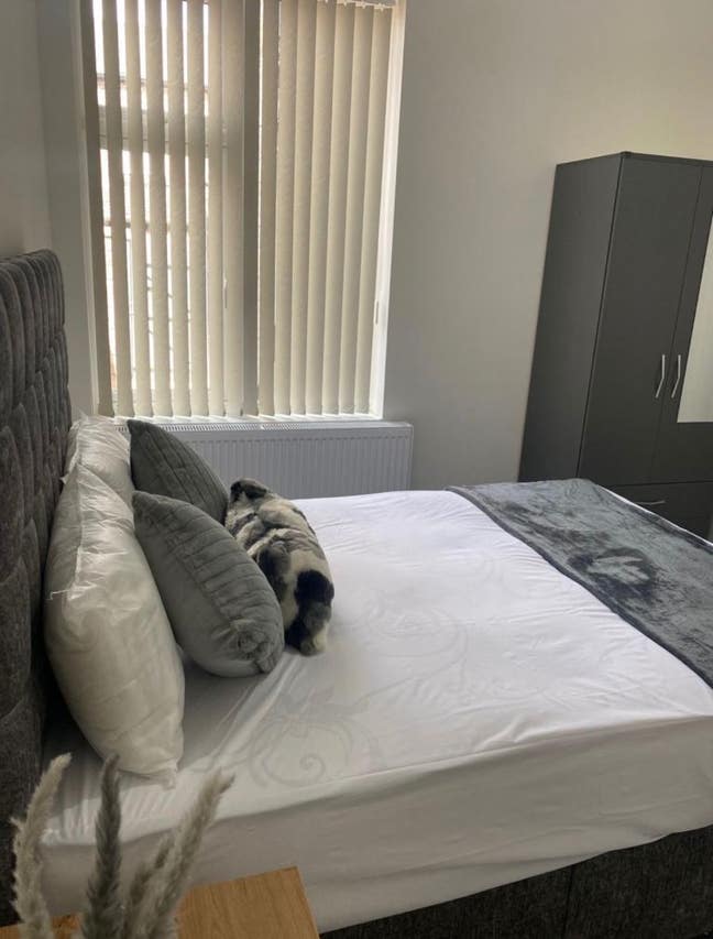 Bright Double Room for Female – M12 – Longsight Main Photo