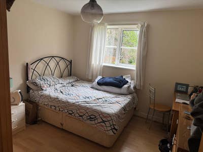 Room available  Main Photo