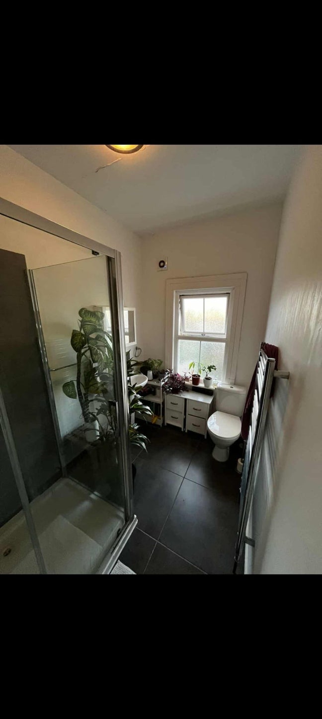 Room in southfields.  Main Photo