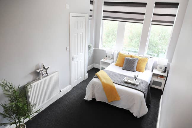 Co-living with a difference in Friends style home Main Photo
