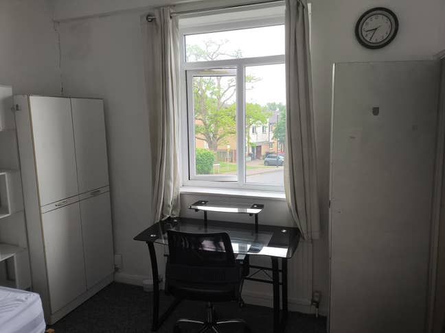 Lovely double room in Hatfield! Main Photo