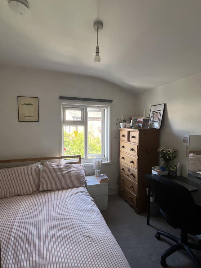 Lovely bright room in Peckham ☀️ Main Photo