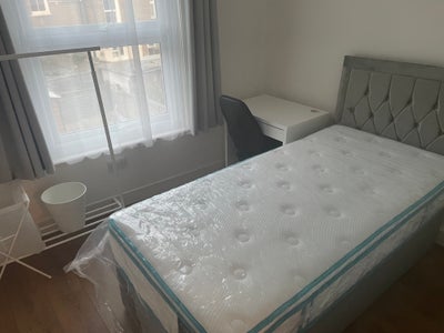 Single room available near Turnpike Lane  Main Photo