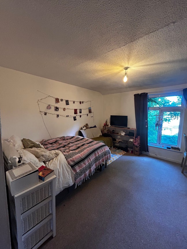 Large Bright Room In overlooking the garden  Main Photo