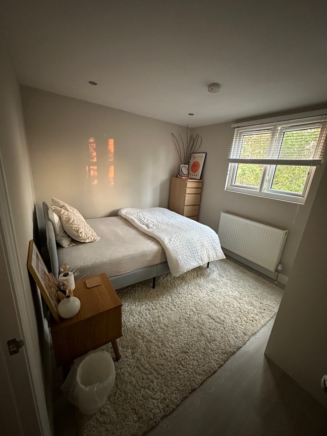 Lovely room available in bright Tottenham flat Main Photo