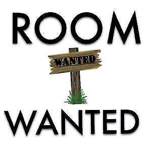 I am a male aged 60. I am looking for a doubl... Main Photo