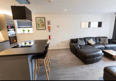 Double Room Available in Lovely 3-Bed Flat Main Photo