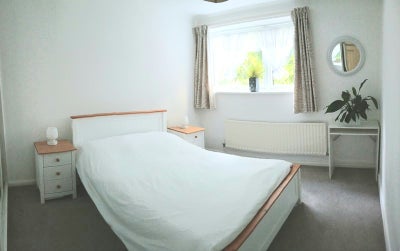 Double Room with All Bills for short duration  Main Photo