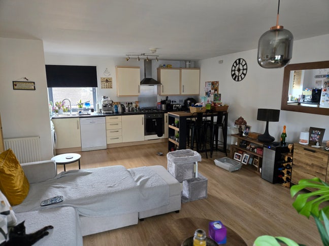 Room Available  Main Photo