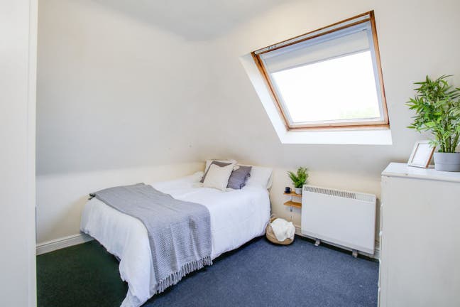 Double Room in Small Flatshare in Chiswick Main Photo