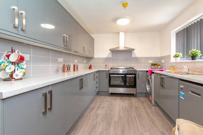 New Student Home In Kensington!  Main Photo