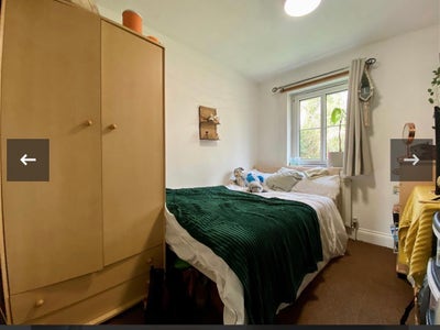 Looking for a uni student to move in Main Photo