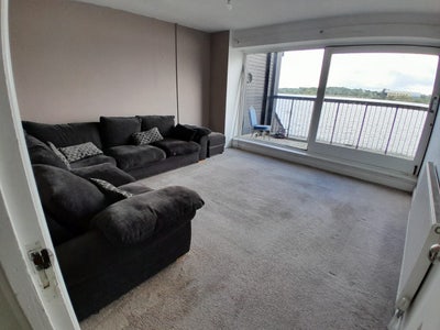 Spacious and Bright Rooms | Available Now Main Photo