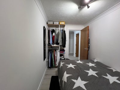 Room available in clean cozy Bow flat! Main Photo