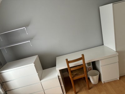 One room  Main Photo