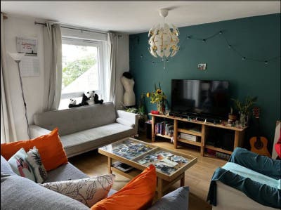 Sunny room in lovely Denmark Hill Main Photo