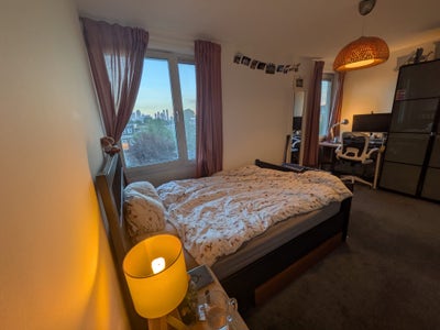 Double room available on Roman Road Main Photo