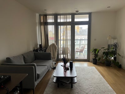 Lovely room available in E14 from June onwards 🤍 Main Photo