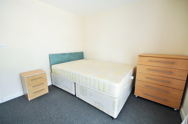 Single room available near de havilland  Main Photo