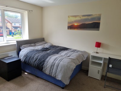 Ensuite for rent includes all bills Main Photo