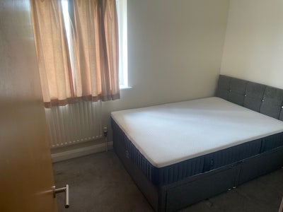 Clean and tidy room available immediately  Main Photo