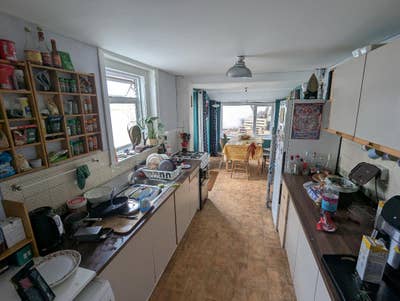 Double room to rent in shared house, plus kitten! Main Photo