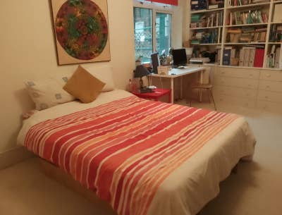 Room for Cat Lover - Short Stay Main Photo