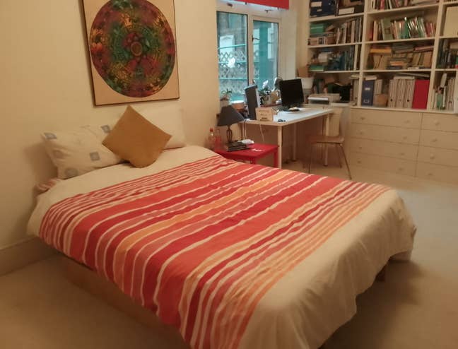 Room for Cat Lover - Short Stay Main Photo