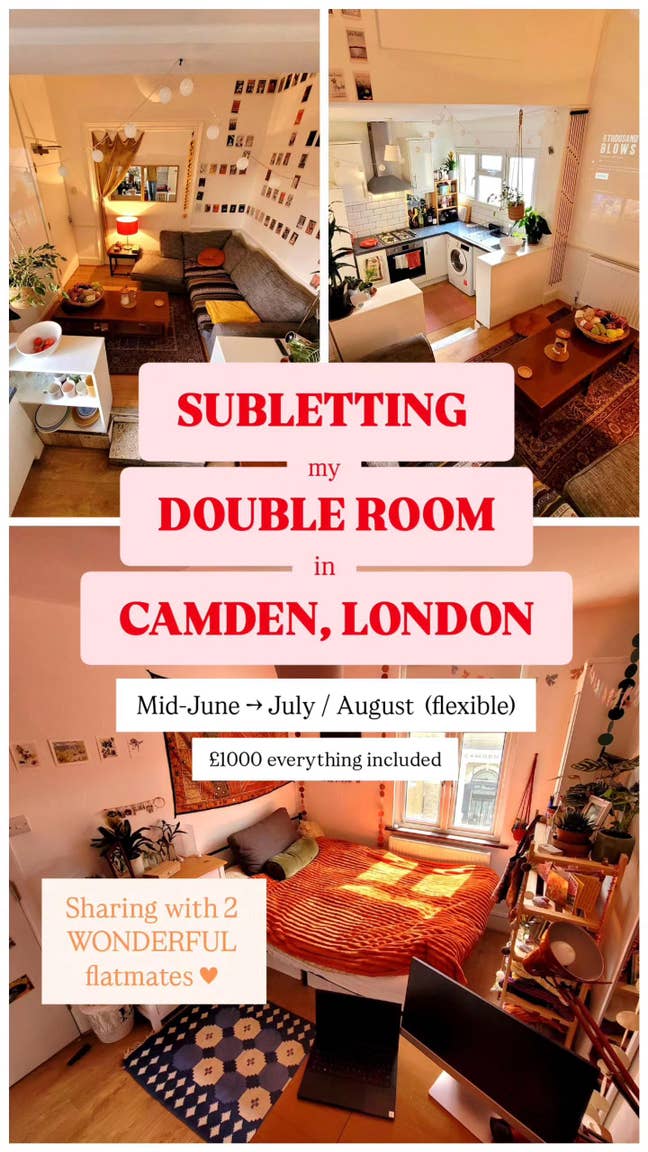 Sunny Double Room in Camden  Main Photo