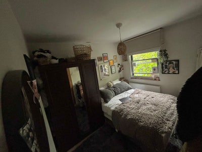 Cozy Double in friendly house by Parliament Hill  Main Photo
