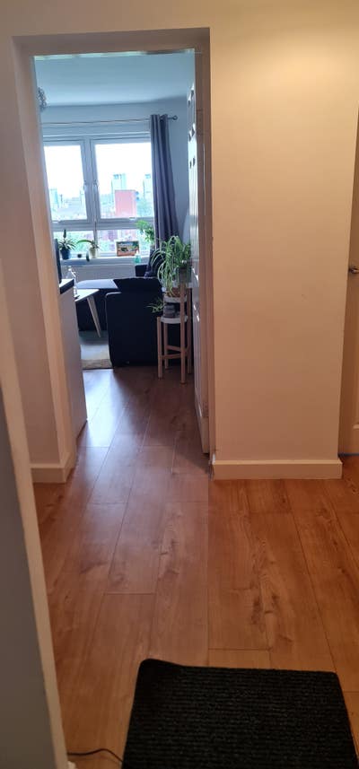 Single spare room for rent Main Photo