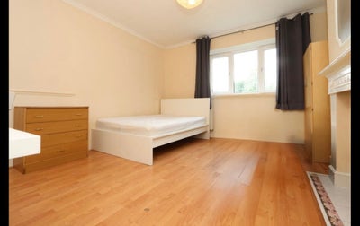Rooms available nearby Shoreditch!! Main Photo